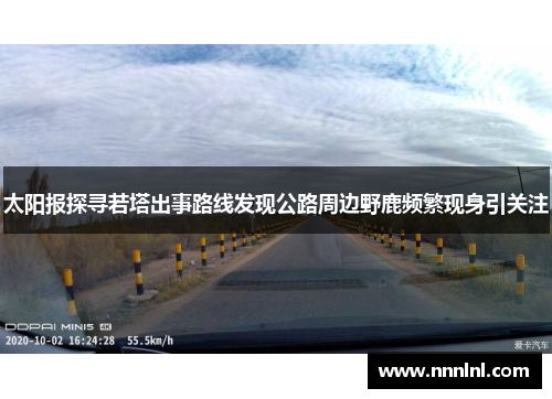 太阳报探寻若塔出事路线发现公路周边野鹿频繁现身引关注 太阳报探寻若塔出事路线发现公路周边野鹿频繁现身引关注